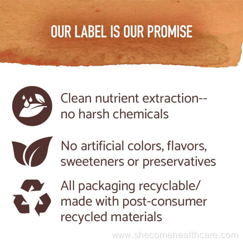 Organics Strength Turmeric Inflammatory Response Tablets